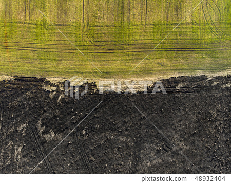 Aerial view of border of the burned and sown land Aerial view of border of the burned and sown land 48932404