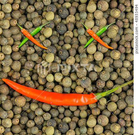 chili pepper ornament foundation chili pepper ornament foundation 48933494
