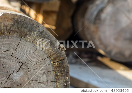 old felled beam light gray annual ring cracked 48933495