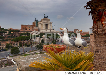 Rome. Aerial view of the city. Rome. Aerial view of the city. 48934230
