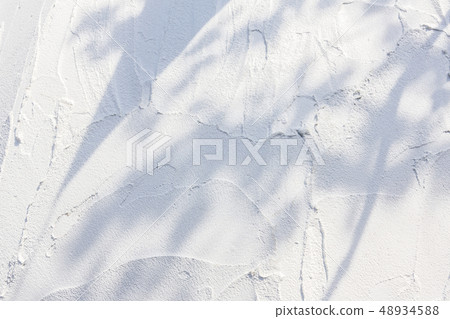 White painted wall 48934588