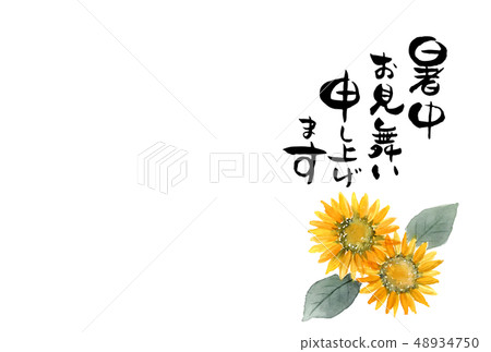 夏天明信片模板向日葵白色背景水平設計 夏天明信片模板向日葵白色背景水平設計 48934750