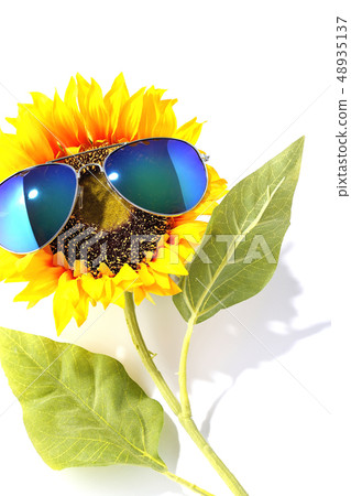 Parisian sunflower Parisian sunflower 48935137