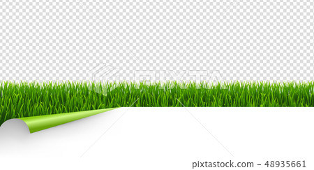 Green Grass With Green Corner Transparent Green Grass With Green Corner Transparent 48935661