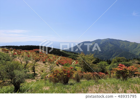 茨城山新鮮綠 茨城山新鮮綠 48935795