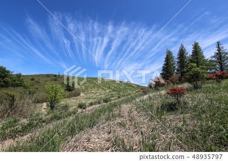 茨城山新鮮綠 茨城山新鮮綠 48935797