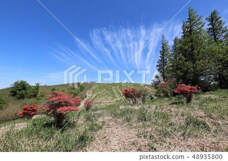 茨城山新鮮綠 茨城山新鮮綠 48935800