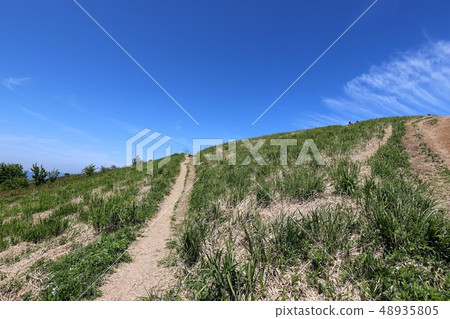 茨城山新鮮綠 48935805