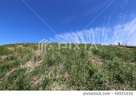 茨城山新鮮綠 48935839