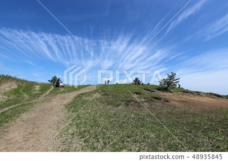 茨城山新鮮綠 茨城山新鮮綠 48935845