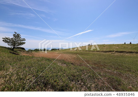 茨城山新鮮綠 48935846