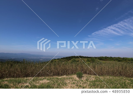 茨城山新鮮綠 茨城山新鮮綠 48935850