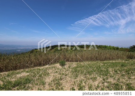 茨城山新鮮綠 茨城山新鮮綠 48935851