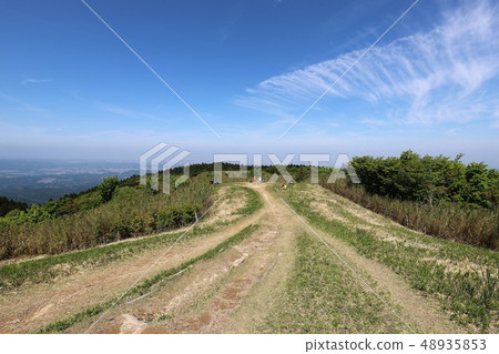 茨城山新鮮綠 48935853