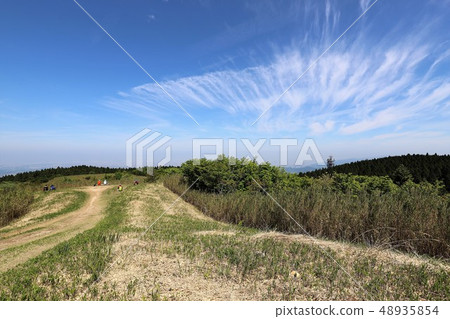 茨城山新鮮綠 48935854