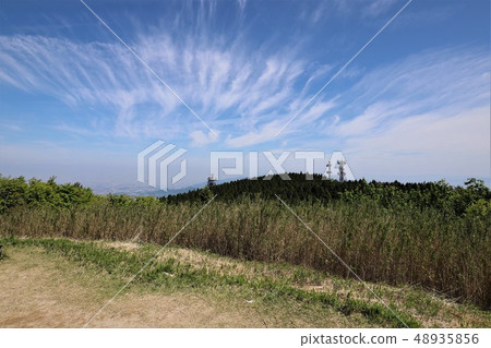 茨城山新鮮綠 48935856