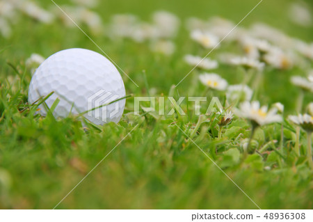 Golf ball on course Golf ball on course 48936308