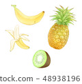 水彩風格水果套 48938196