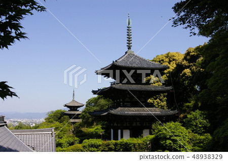 Tonaji Temple西塔東塔 48938329