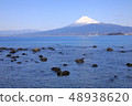 從駿河灣看到的富士山 48938620