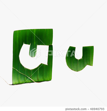u One letter green tropical leaf alphabet isolated 48940793