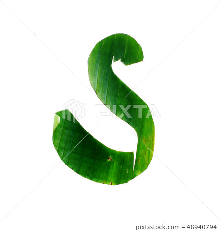 s One letter green tropical leaf alphabet isolated 48940794