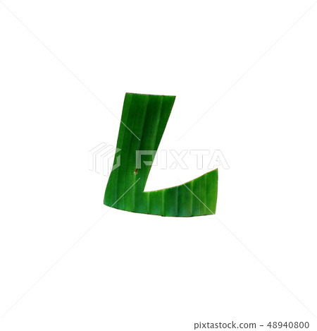 L One letter green tropical leaf alphabet isolated 48940800