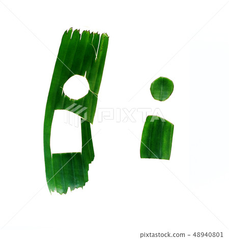 i One letter green tropical leaf alphabet isolated 48940801
