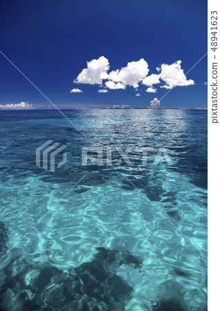 Coral sea with excellent transparency Coral sea with excellent transparency 48941623