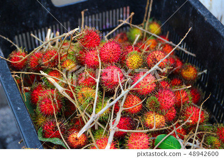 紅毛丹紅毛丹在檳城喬治市街 48942600