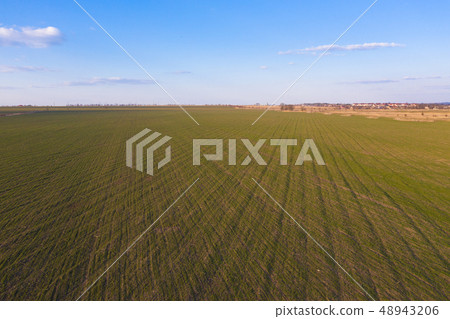 Airbrush photography of a green field from a height. Blue sky. 48943206