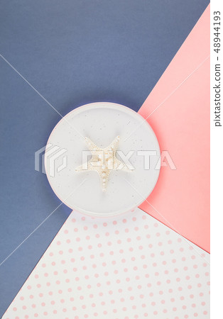 Plate with seashells on color paper background Plate with seashells on color paper background 48944193