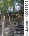 Natural stairs 48944601