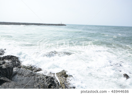 日本海 48944686