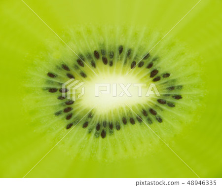 Kiwi Closeup Kiwi Closeup 48946335