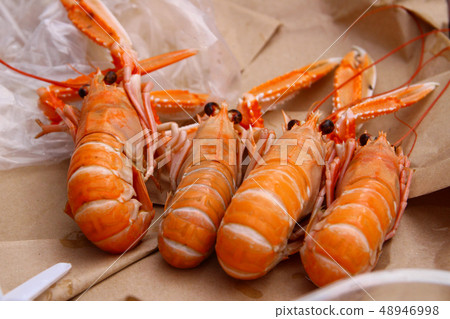 瑞典Jodeborg海螯蝦 48946998