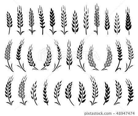 set of black hand drawn wheat ears icons - Stock Illustration [48947474 ...
