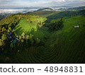 fields in the countryside of Chiang Mai Northern 48948831