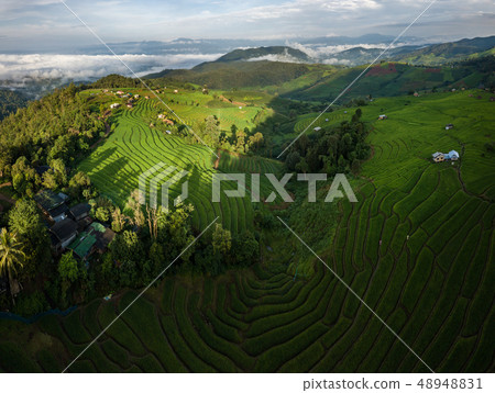 fields in the countryside of Chiang Mai Northern fields in the countryside of Chiang Mai Northern 48948831