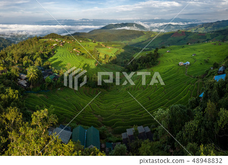 fields in the countryside of Chiang Mai Northern 48948832
