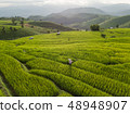 fields in the countryside of Chiang Mai Northern 48948907
