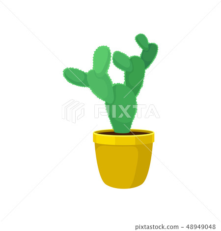 Prickly pear in flowerpot. Natural cactus concept. 48949048