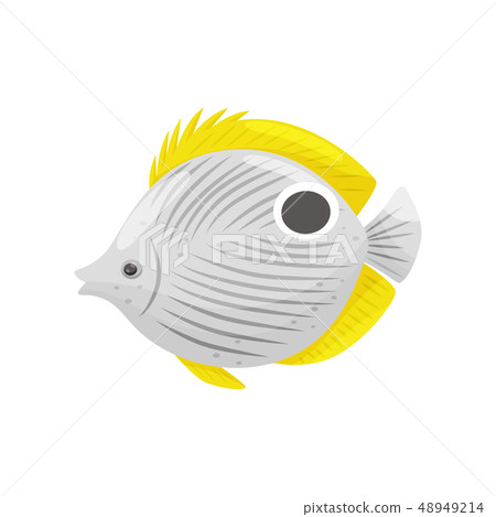 Exotic fish on white background. Water life. Exotic fish on white background. Water life. 48949214
