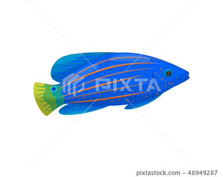 Blue fish on white background. Water life. Blue fish on white background. Water life. 48949287