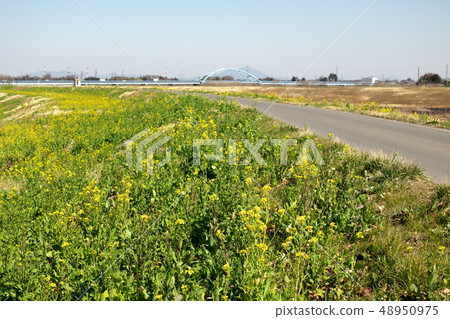 Shiikawa in early spring Shiikawa in early spring 48950975