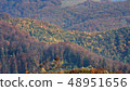 Forest in late Autumn 48951656