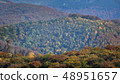 Forest in late Autumn 48951657