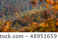 Autum scenery with closeup of forest 48951659