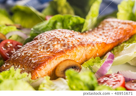Roasted salmon fillet with fresh vegetable salad Roasted salmon fillet with fresh vegetable salad 48951671