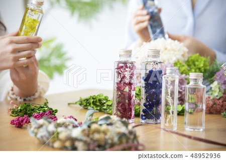 植物標本室 植物標本室 48952936